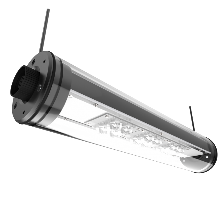 TUBE TUBE