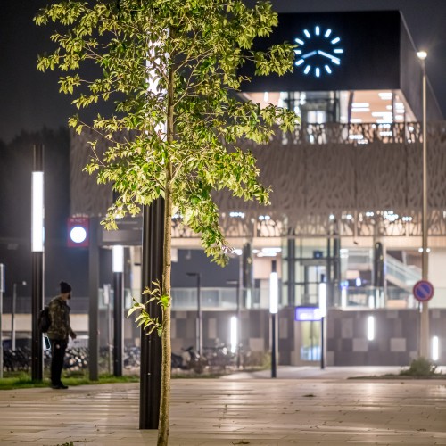 Station Bleizo-021 Station Bleizo-021